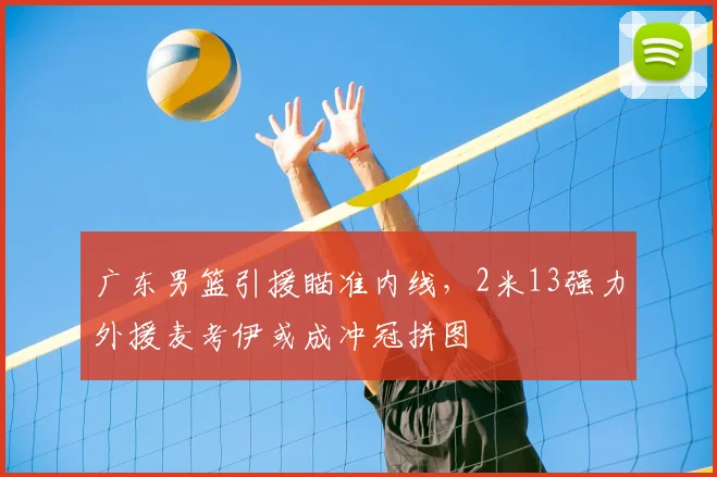 广东男篮引援瞄准内线，2米13强力外援麦考伊或成冲冠拼图