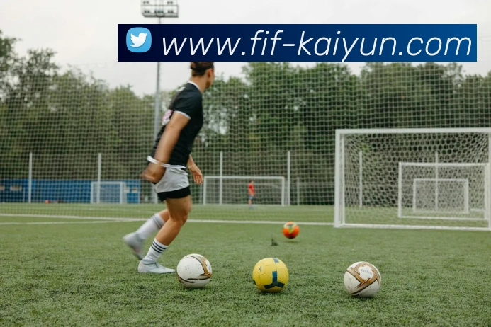 开云平台生态图